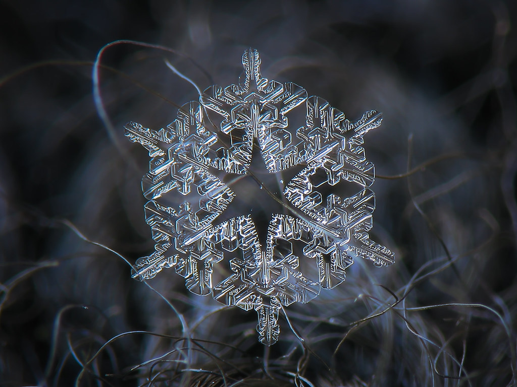 Snowflake 2023-01-08_5774-84