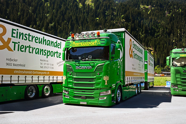 Scania R Einstreuhandel Transporte