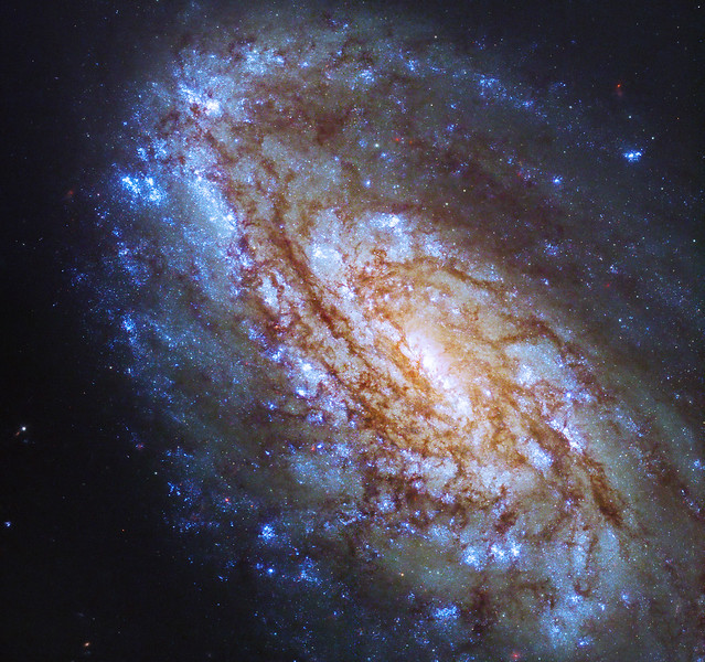 Vibrant Virgo Cluster Galaxy NGC 4654