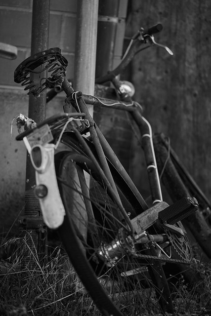 the old bicycle