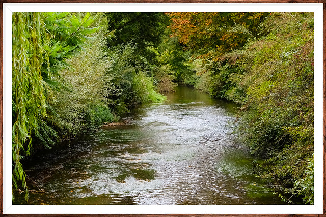 River Darent @ Shoreham Village Kent