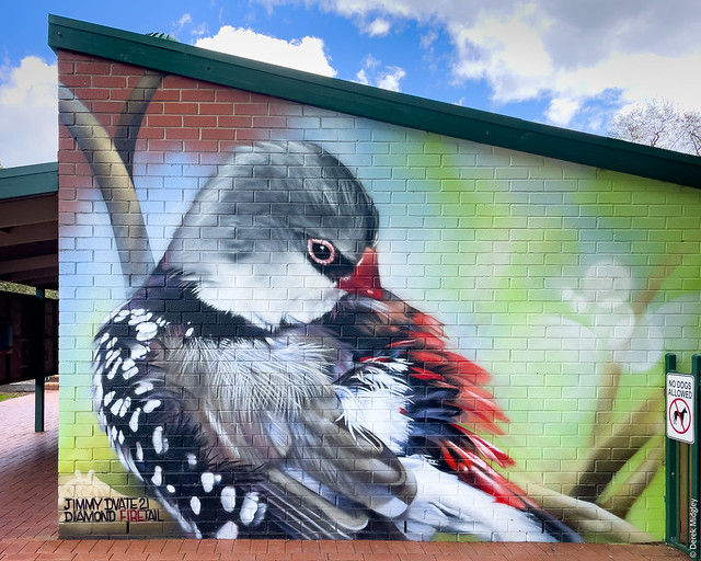 Wedderburn Bird Murals : 5 of 5