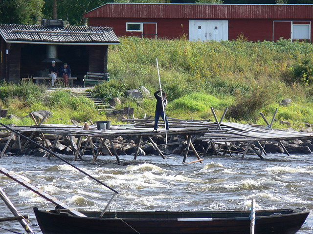 30719 Kukkolaforsen, Torneälven med en laxfiskare med fångstnät på en pinne på finska sidan