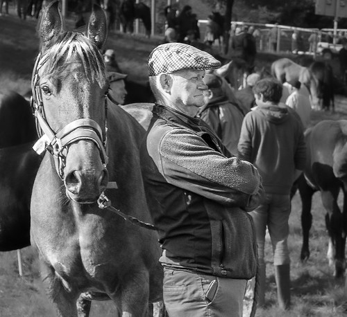 Confident | by Fergal Flatlight