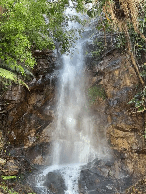 Waterfall Loop