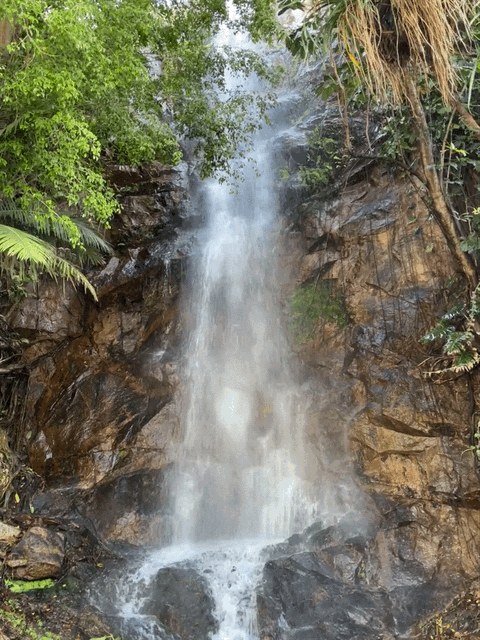 Waterfall Loop