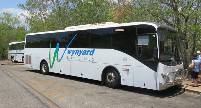 Wynyard Bus Lines mo 3435