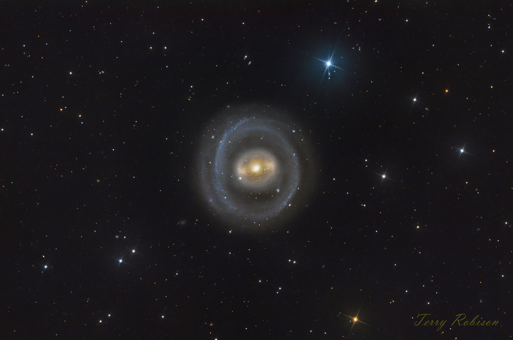 NGC 1291 in Eridanus