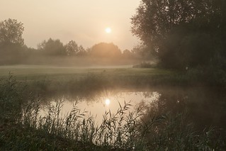 First signs of autumn - sunrise through the fog (EXPLORED, 05/10/2023)
