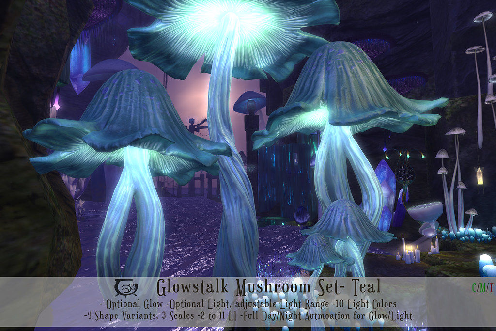 Glowstalk Mushroom Teal