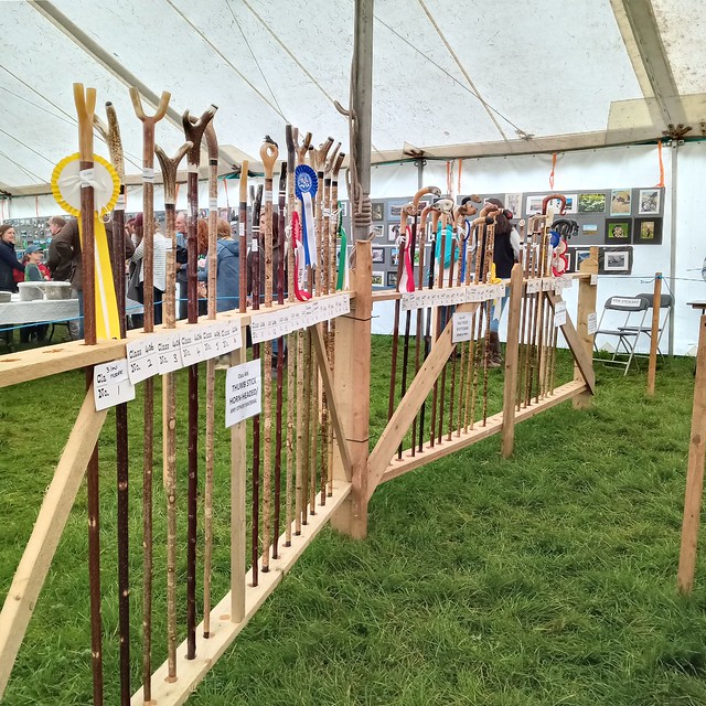 Many competition categories for walking stick
