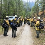 Firefighters Briefing Before Prescribed Burn Firefighters with gear standing around a circle within the forest. October 2023 Photos courtesy USDA Forest Service Forest. 