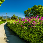 While Strolling Through the Park One Day.... Rancho Cucamonga Community Center