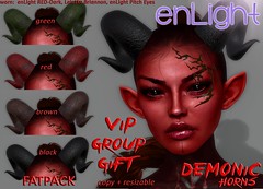 enLight VIP group GIFT