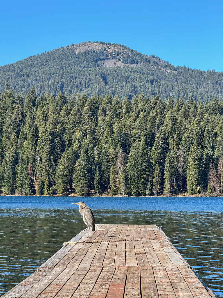 Brown Mountain North