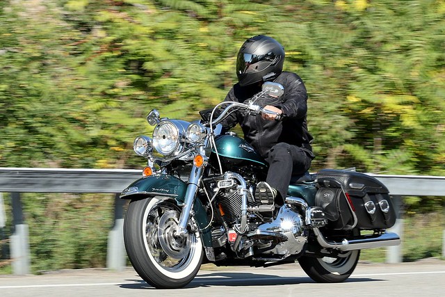 Harley-Davidson Road King 2310016028w