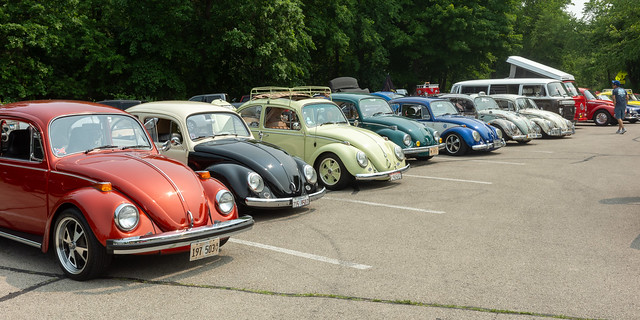 A row of classic VWs