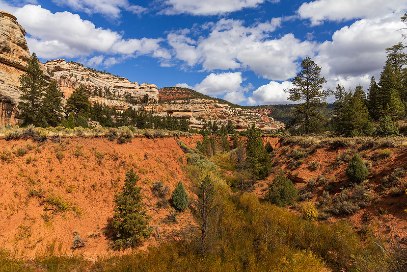 Arroyo Cutting