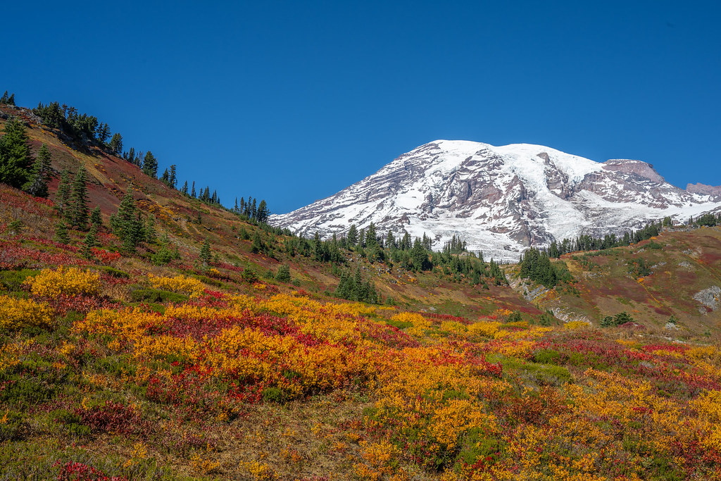 Mount Rainier Fall Colors | Taken from Myrtle Falls | Flickr
