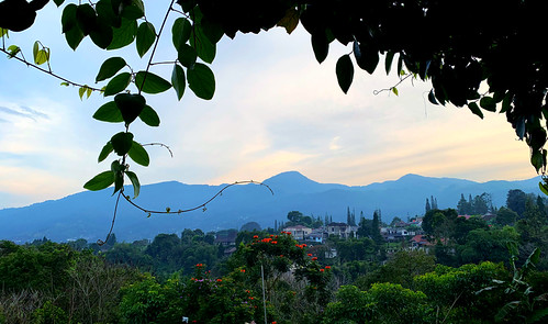 framed it ... by Suzy Unyink, 
~~~~~~~~~~~~~~~~~~~

<b>Taken at Puncak - Bogor, Indonesia in Sep 2022.


<i>THANK YOU so MUCH for 