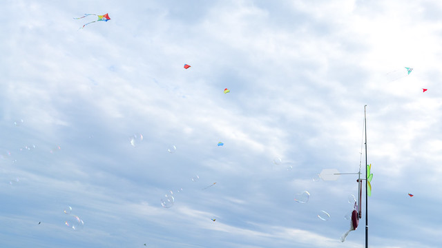 Kites @ Malmsheim