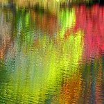 Autumn Color  Blowing Rock NC 2021 (4) 