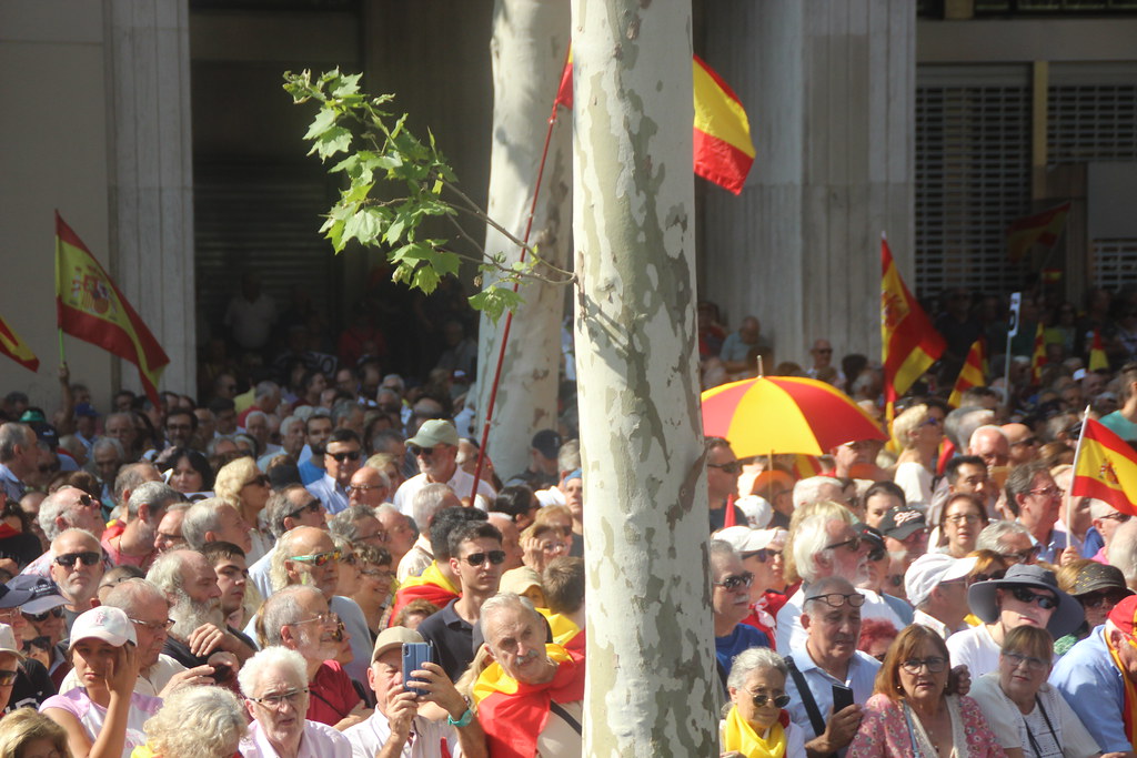 FOTOGRAFÍA. BARCELONA (ESPAÑA), 08 DE OCTUBRE DE 2023. Gran manifestación en Barcelona contra la amnistía al golpe y la autodeterminación. Lasvocesdelpueblo (81)