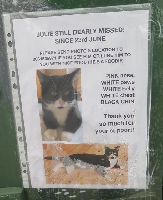 Julie Still Dearly Missed