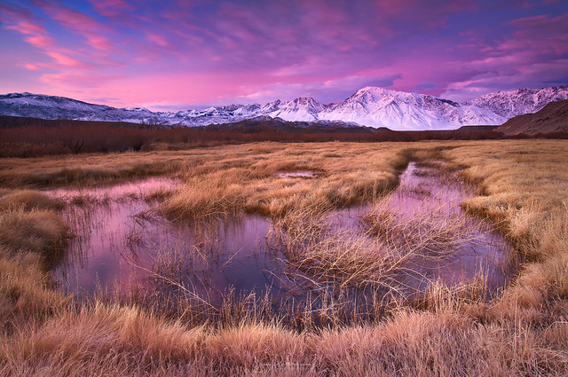 Winter's Call - Owens River Valley, Bishop, California