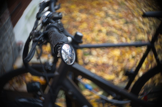Bike Rack in Fall