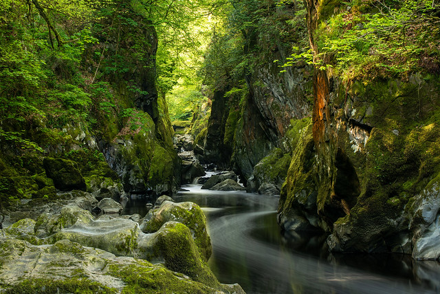 Fairy Glen