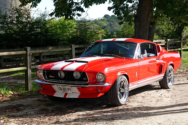 Ford Mustang Shelby 350 GT Fastback