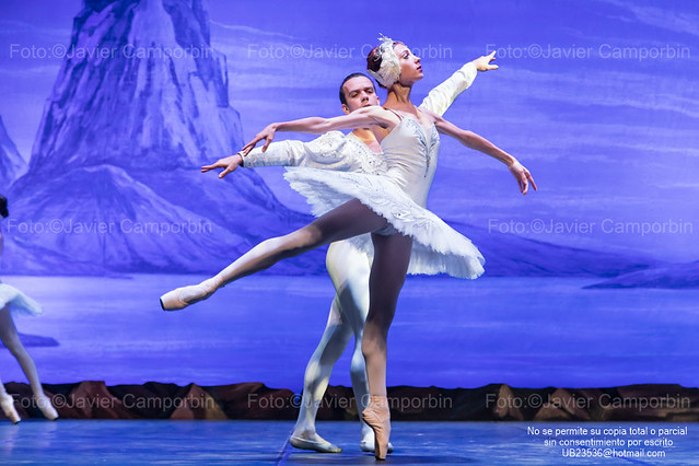 El Ballet de Kiev. El Lago de los cisnes.
