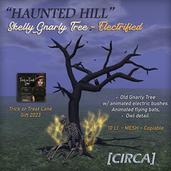 @ Trick or Treat Lane | [CIRCA] - "Haunted Hill" Skelly Gnarly Tree - ToTL Gift '23