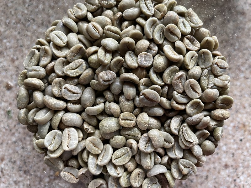 Vietnam Lam Dong – Duc Trong Mill – Washed Processed Arabica