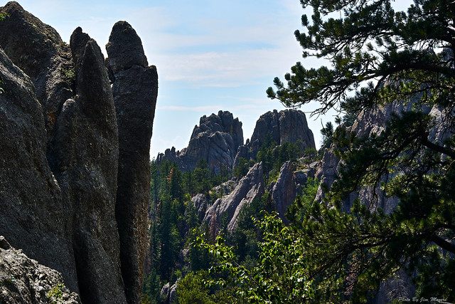 Along the Needles Highway