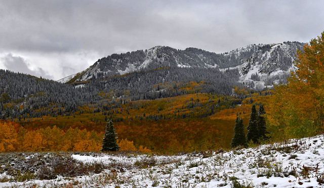 Autumn Color, Wasatch Mountains, Utah (stitch)