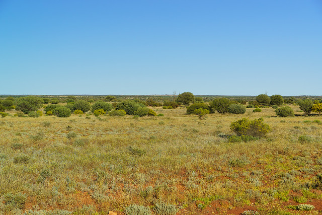 Red Centre Expanse ll