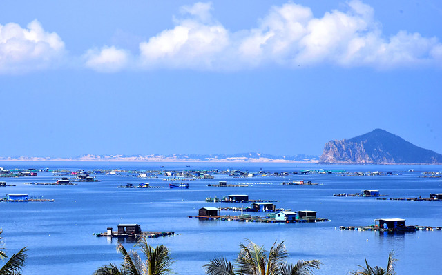 raft village (Phuyen, Vietnam)