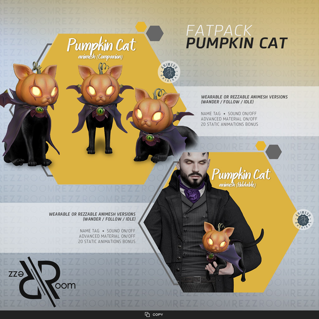 [Rezz Room] Pumpkin Cat Animesh