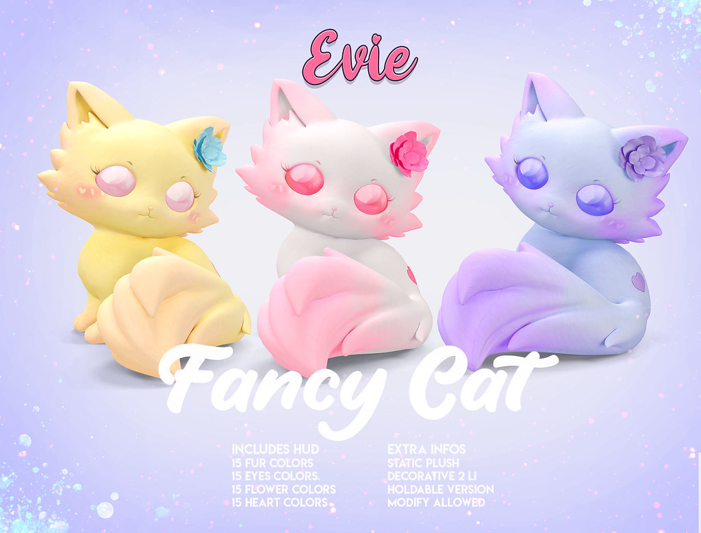 EVIE – Fancy Cat @ Equal10