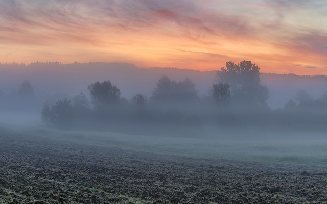 *Early October morning in the Volcanic Eifel*