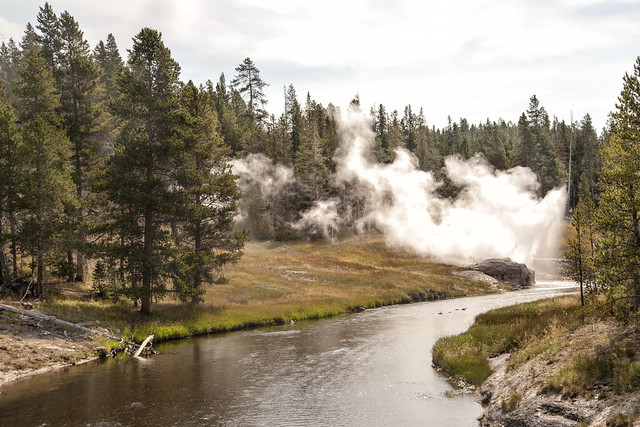 USA, Wyoming: Yellowstone - Photo #20