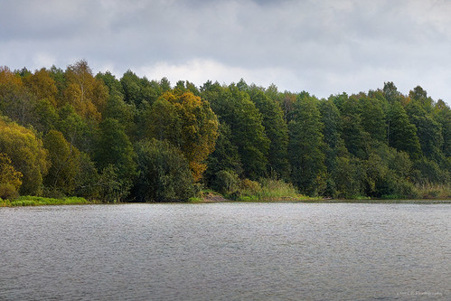 gray-colorful-gray by Lauri P. Photography, Simple scenery at the river with some autumn colors.nature landscape river emajõgi forest sky cloudy