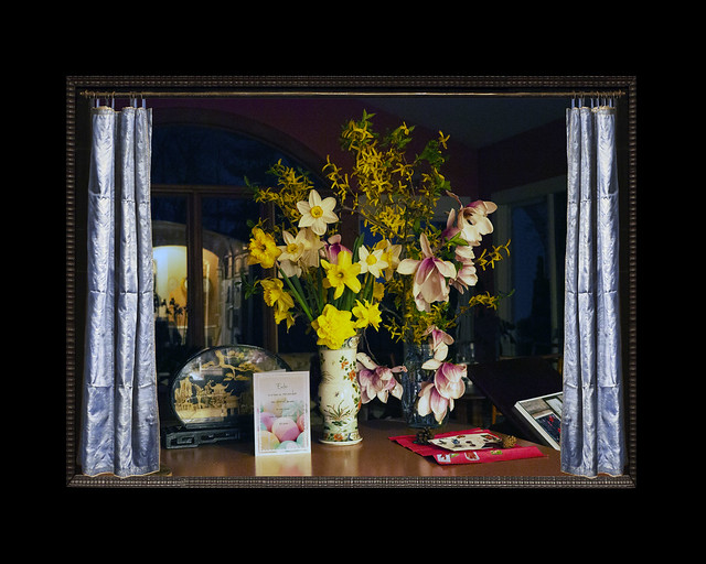 Kitchen Still Life, with Magnolia, Forsythia, & Daffodils, with Frans van Mieris's Blue Curtain, 2021, rebalanced 2023