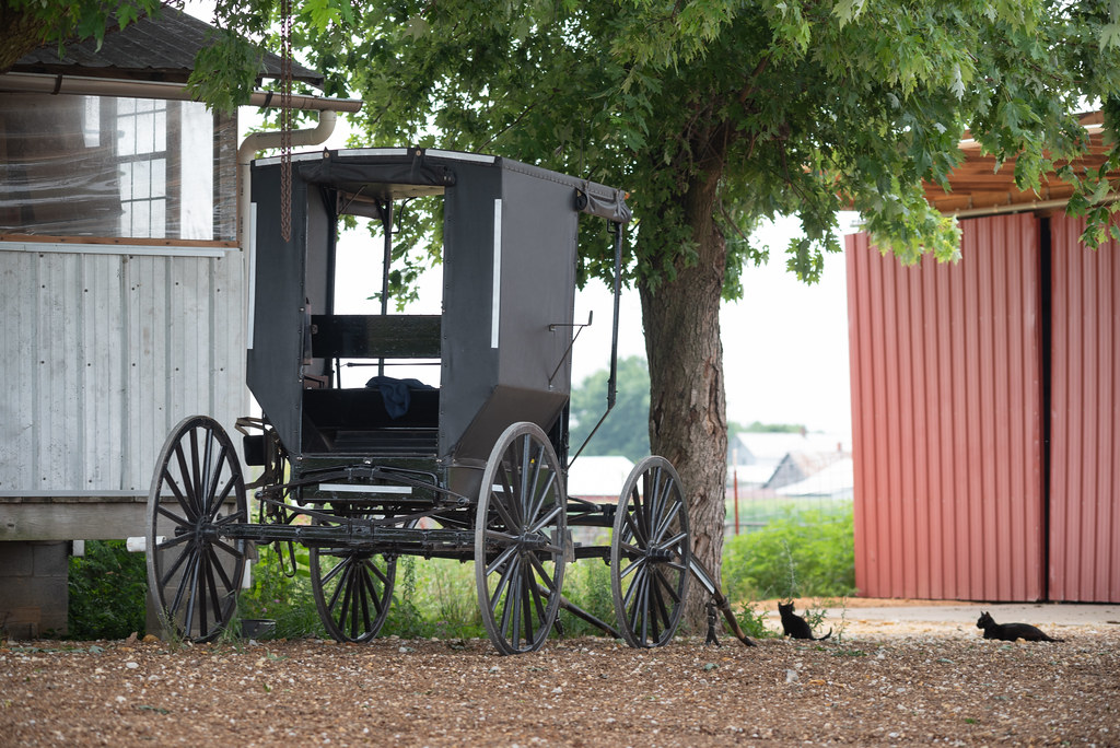 Amish Scene