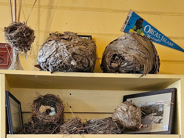 Collection of Nests