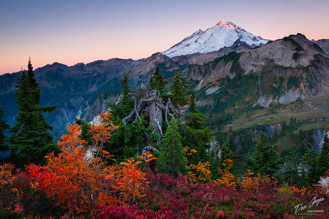Mount Baker and Fall Colors