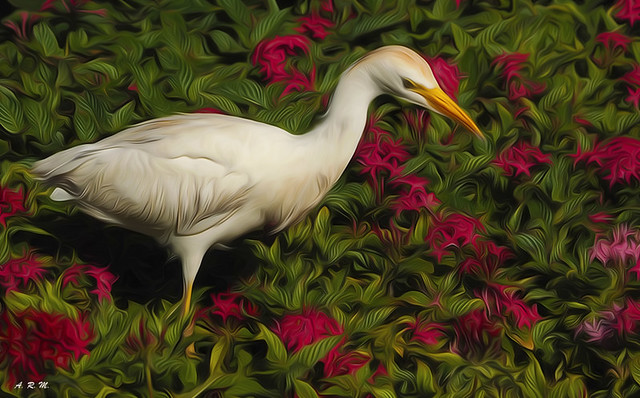 Egret in the Flowers - Ka'anapali, Maui