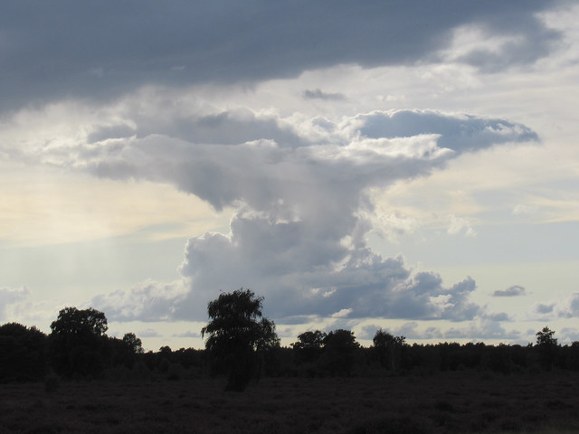 Unusual cloud formation